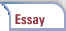 Essay